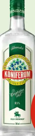 Koniferum Borovička vybrané druhy