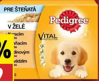Pedigree Krmivo pre psy kapsičky zmiešaný výber v želé Junior