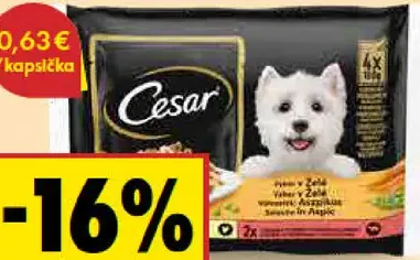 Cesar Krmivo pre psy kapsičky kuracie/hviezdie v želé