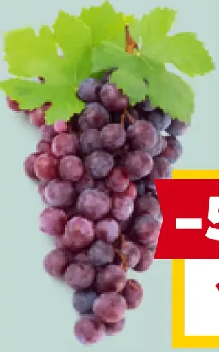 Hrozno červené Red Globe