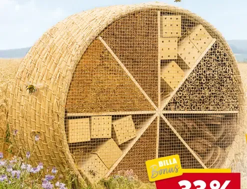 Opavia Zlaté Spekulky škoricové sušienky