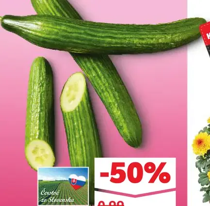 Čerstvé zo Slovenska Uhorka šalátová