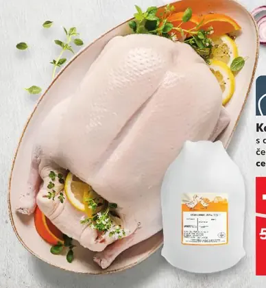 Kačica s drobmi