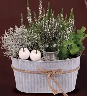 Aranžmán v kvetináči