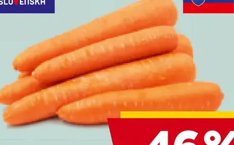 Chute Slovenska karotka