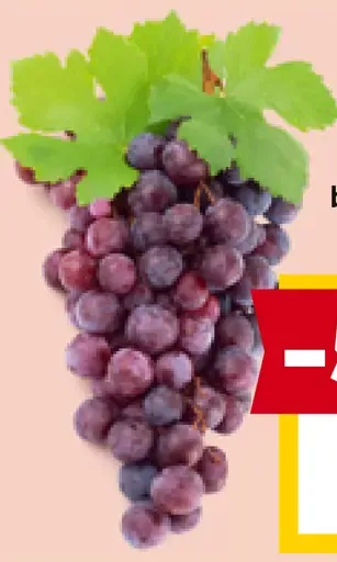 Hrozno červené bezjadierkové