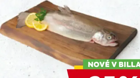 Pstruh celý
