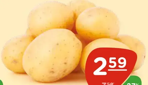 Zemiaky konzumné žlté neskoré