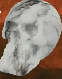 LED dekorácia v tvare netopiera