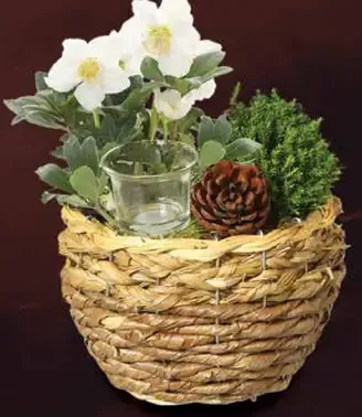 Aranžmán s čemericou v košíku