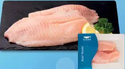 Fjord Bohemia tilapia