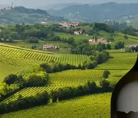 Blanco de Vulcanesti Vino