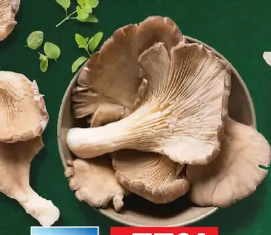 Čerstvé ovocie a zelenina Hlivy ustricové