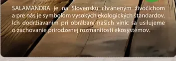 Salamandra Vino Vybrané Druhy