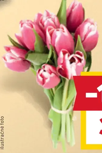 Kytica Zimné tulipány