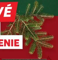 Dr. Ensa Pistácie jadrá, lúpané