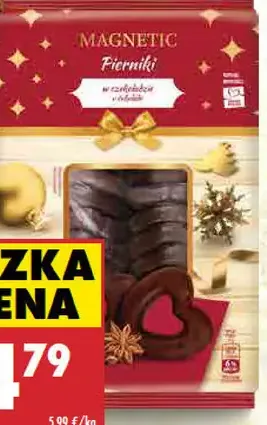 Magnetic Perníky v čokoláde