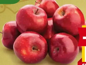 Jablká červené Jonaprince