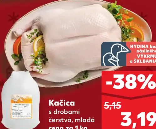 Kačica čerstvá, mladá