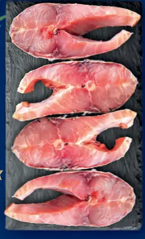 Radoma Kapor podkovičky