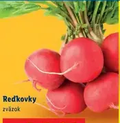 Redkvy