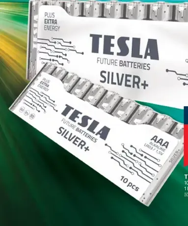 Tesla Future Batteries Silver+