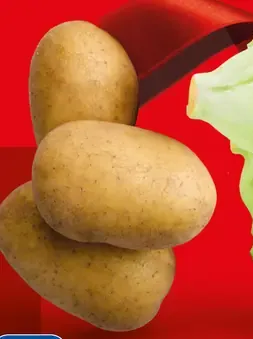 Šalátové srdiečka