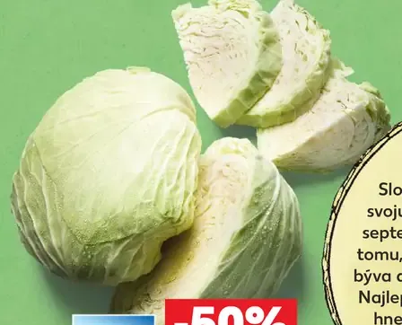 Slovenská kapusta biela