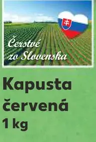 Slovenská kapusta červená