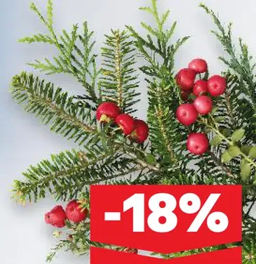 Rians Crème Brûlée Bourbon vanilla