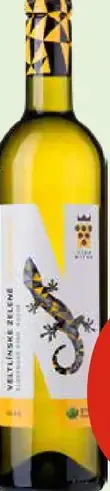 Salamandra Vino