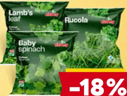 Eisberg rukola, valeriána, baby špenát