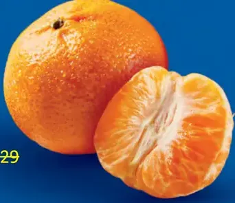 Mandarínky čerstvé