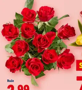 Ružová kytica – pestrá kytica rezaných kvetov