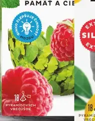 Popradský wellness čaj Zázvor a citrón Gingko pamäť a cievy