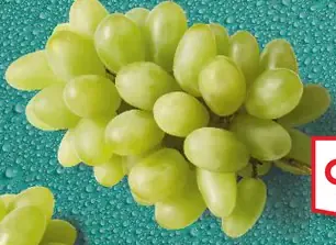 Hrozno biele bezjadierkové čerstvé