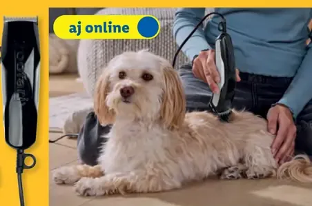 Zoofari škrabadlo pre mačky C na ochranu rohov miestností