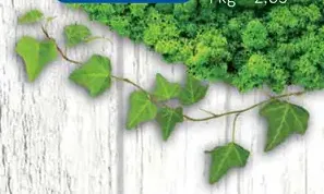 Agro hnojivo NPK so zeolitom