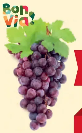 Bon Via hrozno červené bezjadierkové