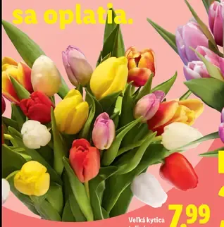 Veľká kytica tulipánov