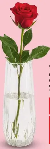 Valentínska ruža rezaná