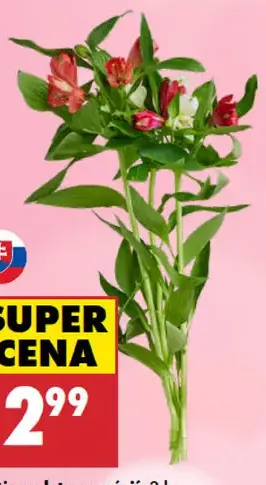 Kytica alstroemérií